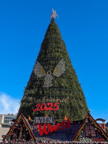 ���� ���� ���� ��� ������� �� ������� 