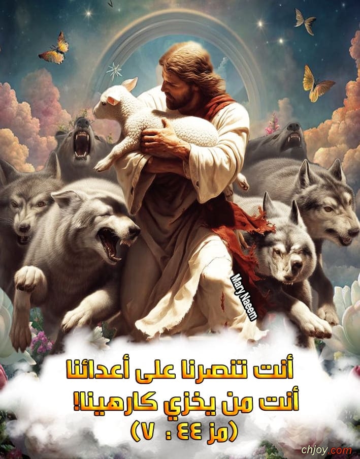 ����������� ���������(�)����������� �������������� 