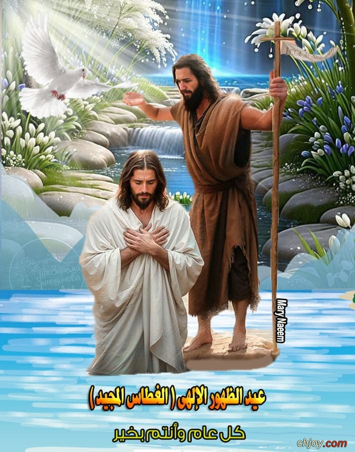 ����������� ���������(�)����������� �������������� 