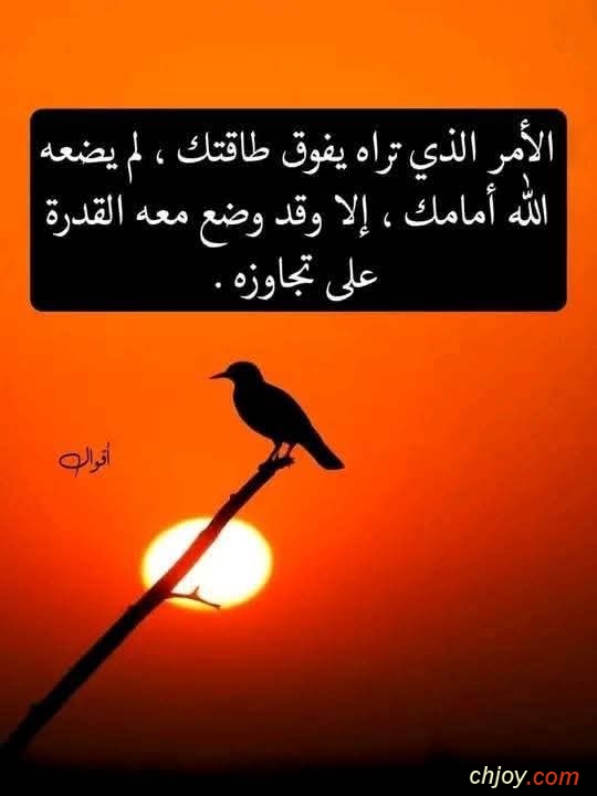 ����� ���� ���� ���� ����� 