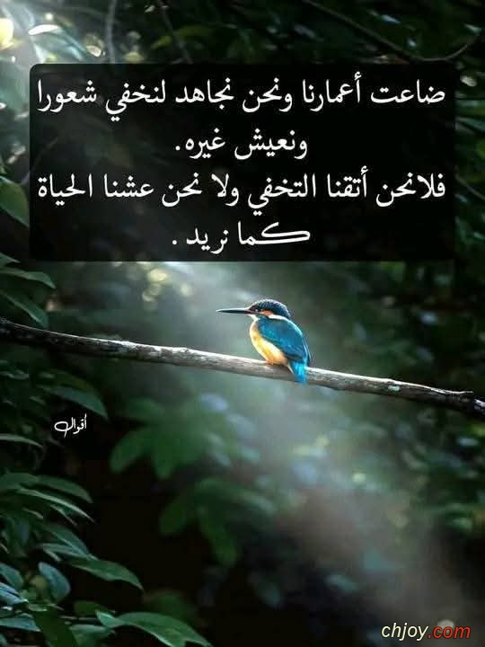 ��� ��� ����� ������ ��� ��� ���� ������ ��� ���� 