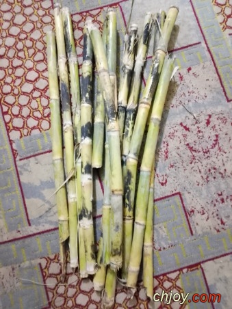 ��� ������ ����� ����� �� ��� ������ 