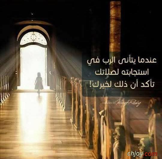 ���� �� ����: 20 / 1 / 2026 / 