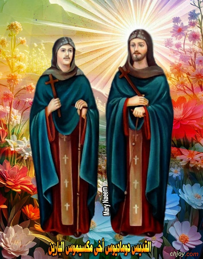 ����������� ���������(�)����������� �������������� 