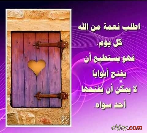 ������ �� ����  : 26 / 1 / 2026 / 