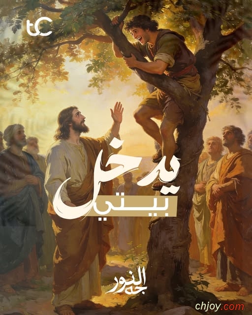 ���� ���� 