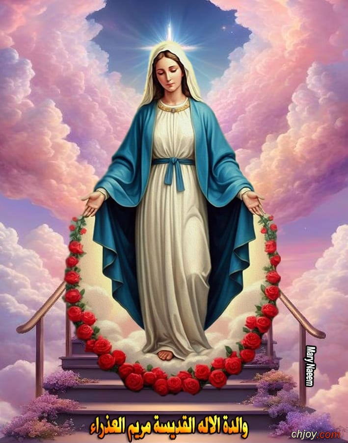 ����������� ���������(�)����������� �������������� 