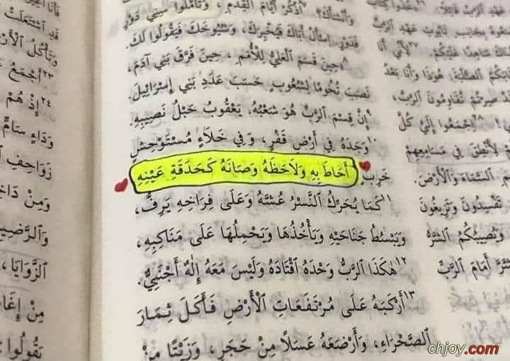 ���� ���� ���� ����� ����� �� 