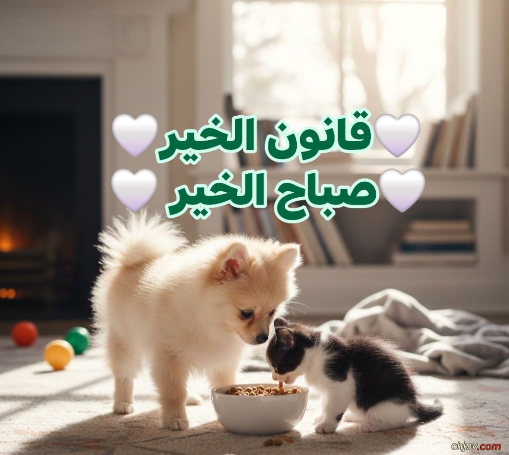 ����� ����� ���� ����� 