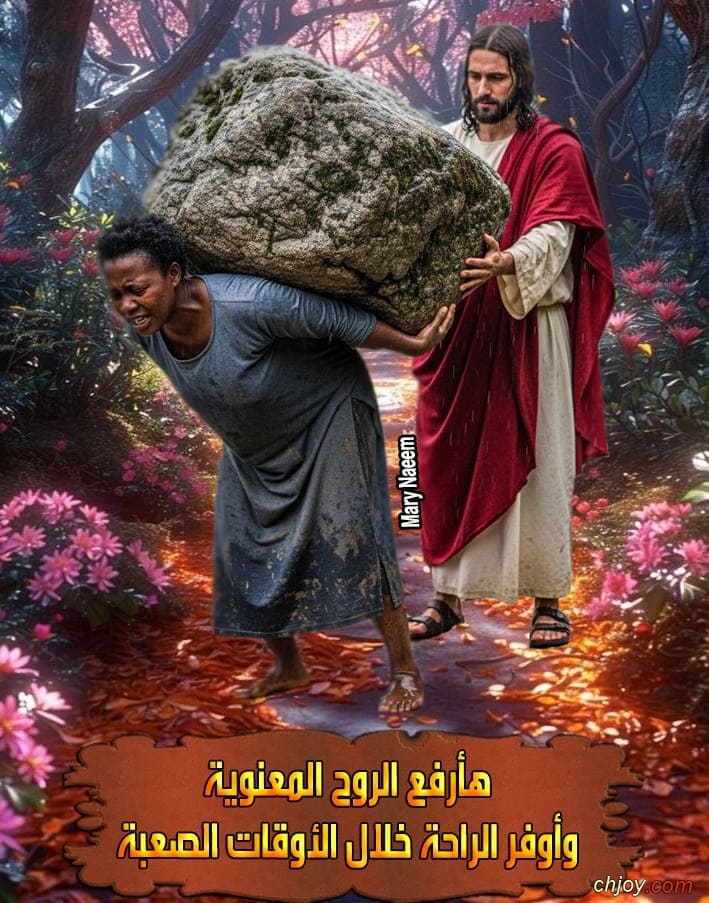 ����������� ���������(�)����������� �������������� 