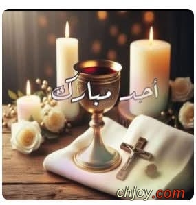 ������ �� ����  : 1 / 2 / 2026 / 