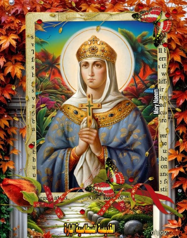 ����������� ���������(�)����������� �������������� 