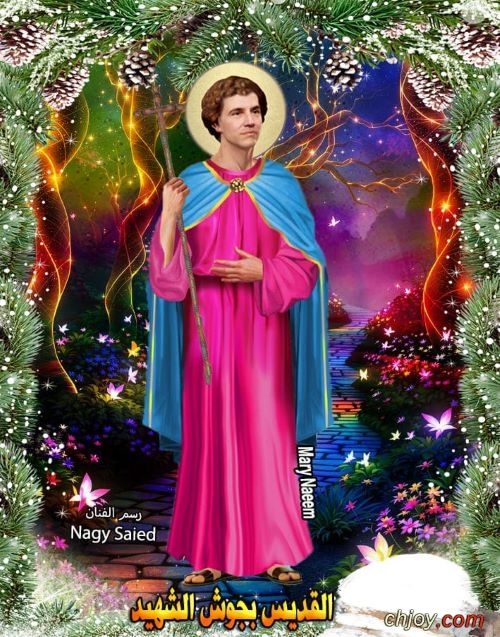 ����������� ���������(�)����������� �������������� 