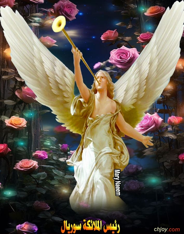 ����������� ���������(�)����������� �������������� 