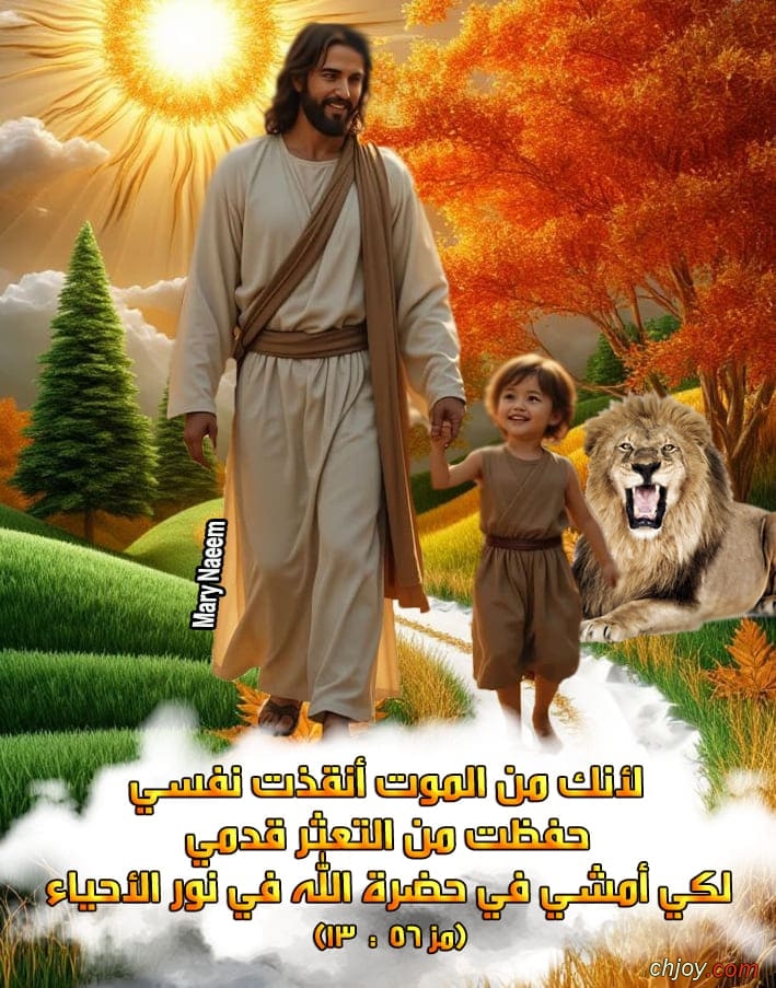 ����������� ���������(�)����������� �������������� 