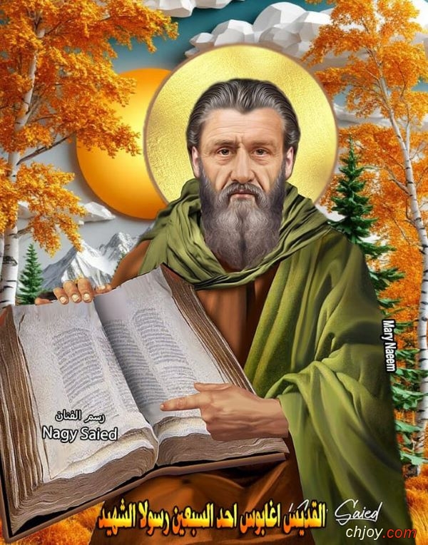 ����������� ���������(�)����������� �������������� 