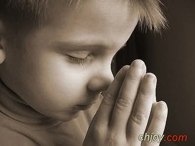 ���� �� ����  : 11 / 2 / 2026 / 