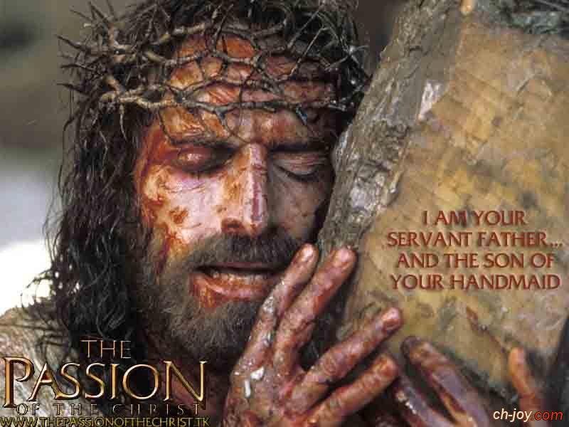 The passion of the christ 