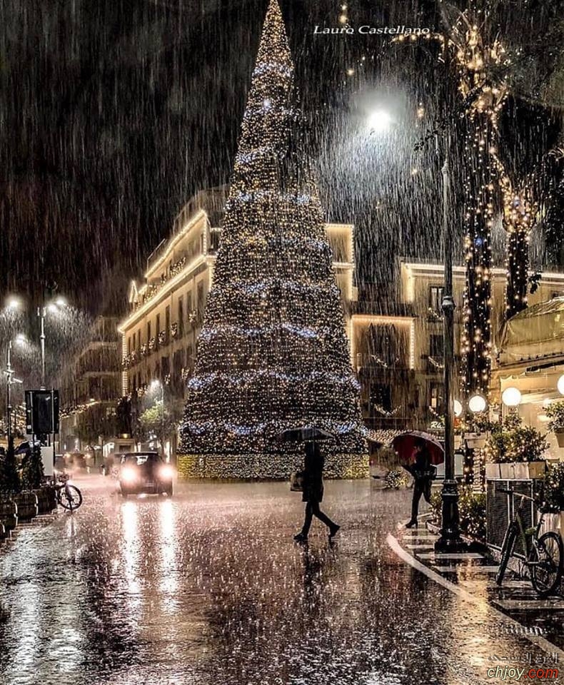 Sorrento, Italy ~ Christmas Tree 