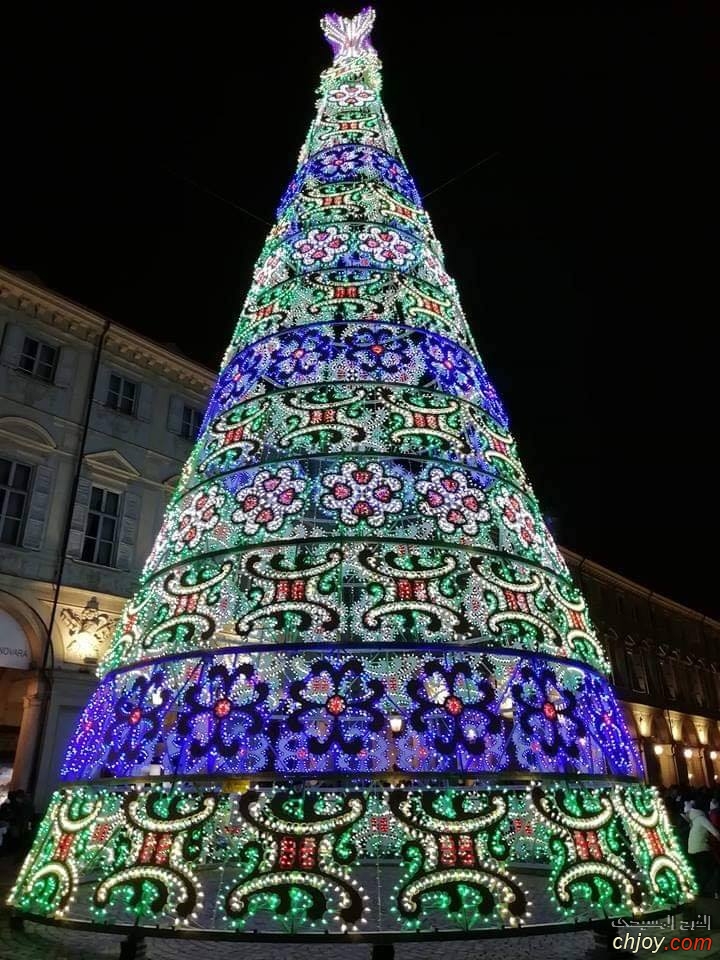 Christmas Tree in Torino, Italy 