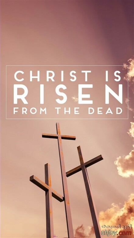  Christ is Risen from the dead  