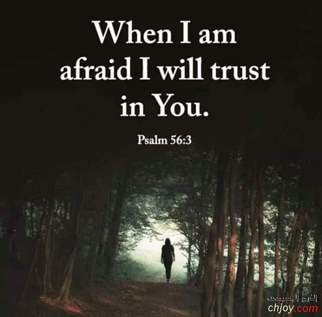 when i am afraid i will trust in you 