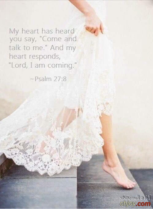 Psalm 27:8 