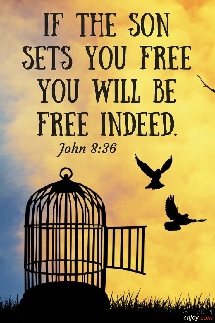 If the Son sets you free you will be free indeed 