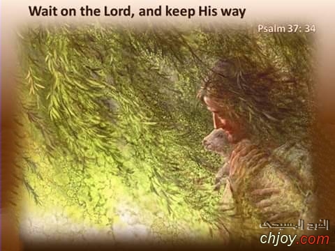 (Wait on the Lord, and keep His way( Psalm 37: 34 