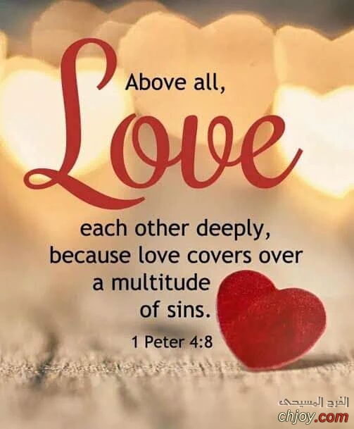 Above all Love 