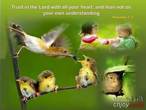 Trust in the Lord with all your heart 