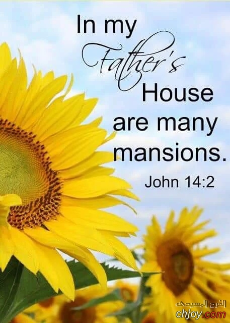 In My Fathers house are many mansions 