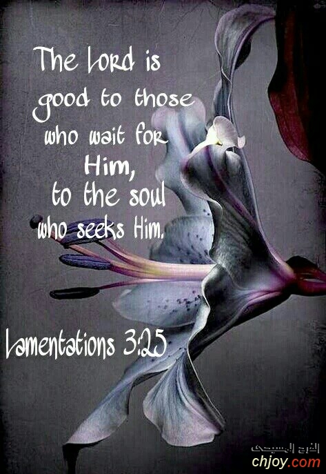 The Lord is good to those who wait for Him 