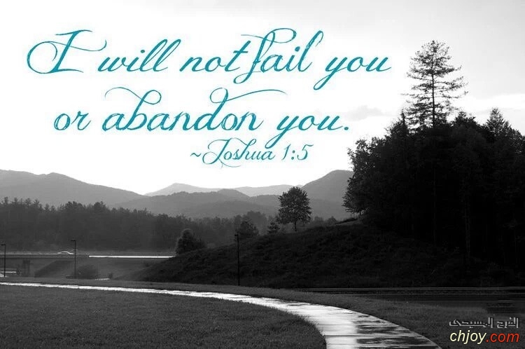 I will not fail you or abandon you 