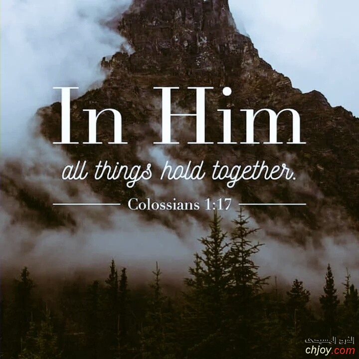 In HIM all things hold together 