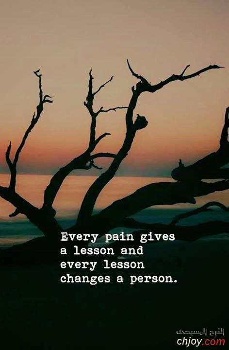 Every Pain gives a lesson 