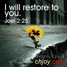 I will restore to you - Joel 2:25 