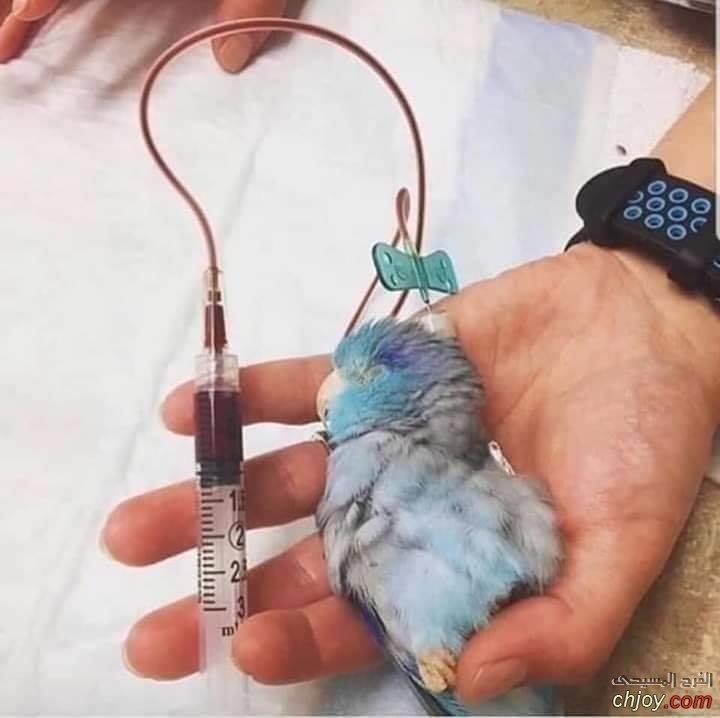     ♥️ 