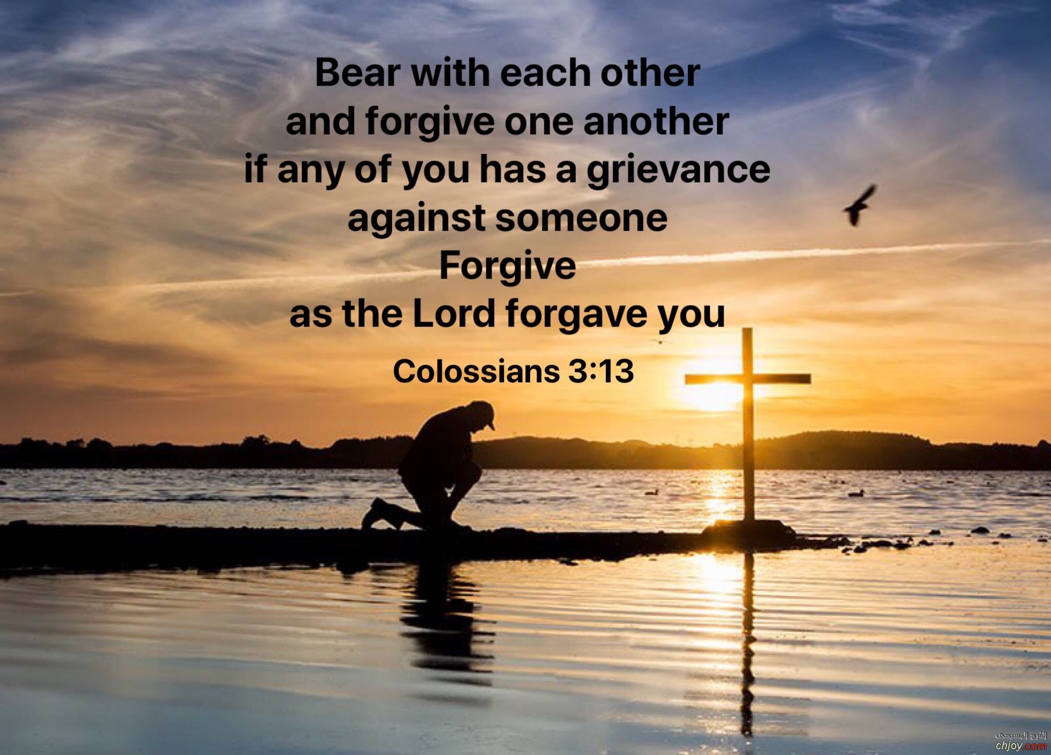 Forgive as the Lord forgave you 