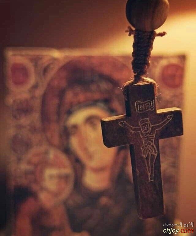      ❤❤ 