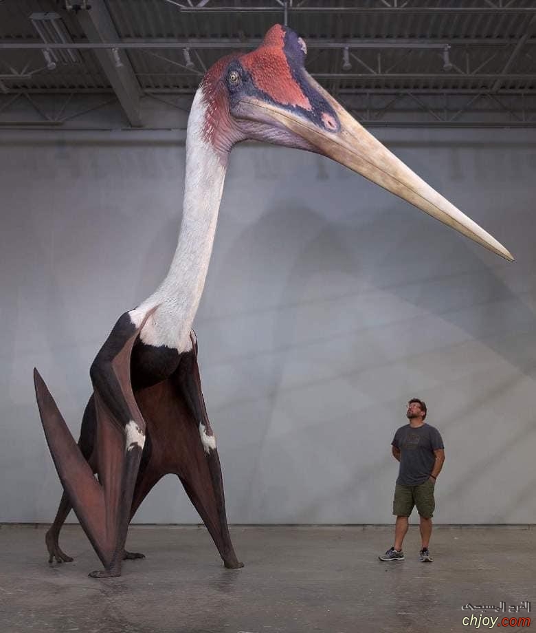  (Quetzalcoatlus)     