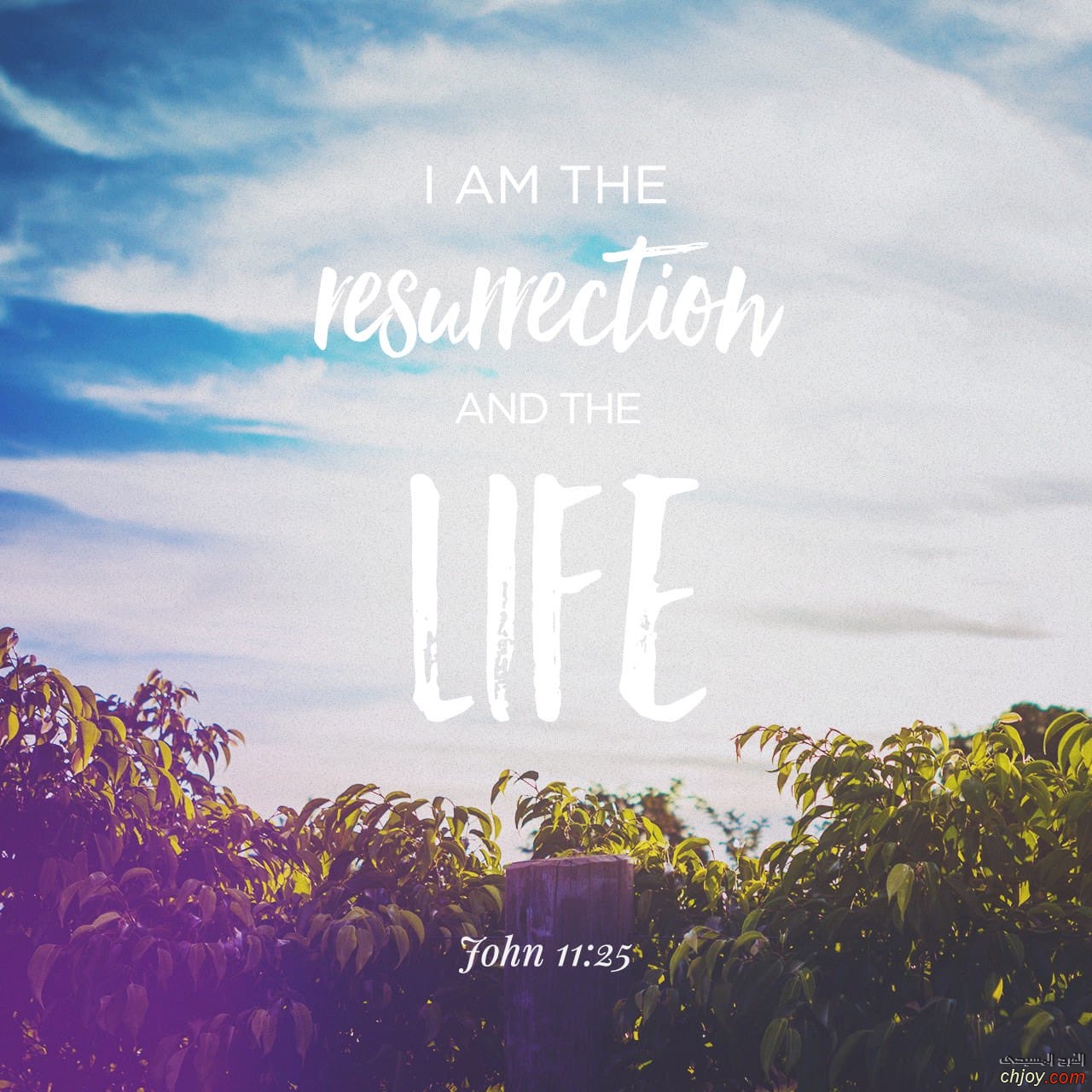 I am the resurrection and the life 