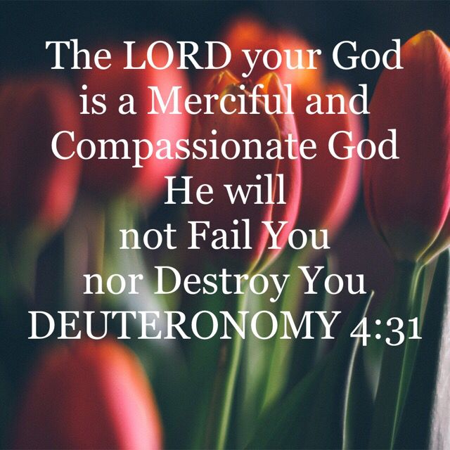 For the LORD your God is a merciful God 