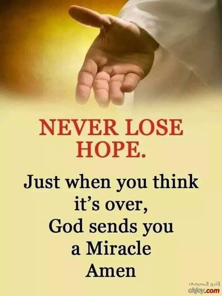 Never Lose Hope 