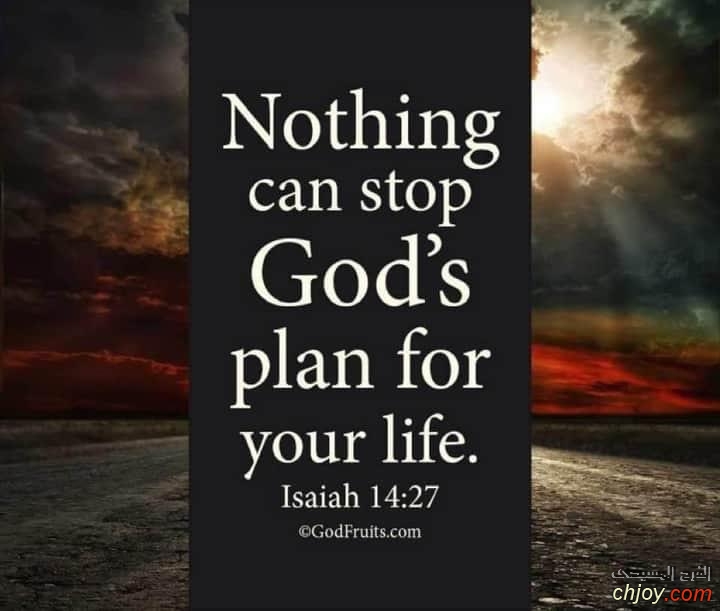 Nothing can stop God's Plan for  your  life 