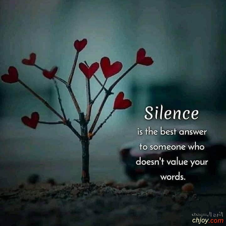 Silence is  best  answer to someone Who doesnt value  your words 