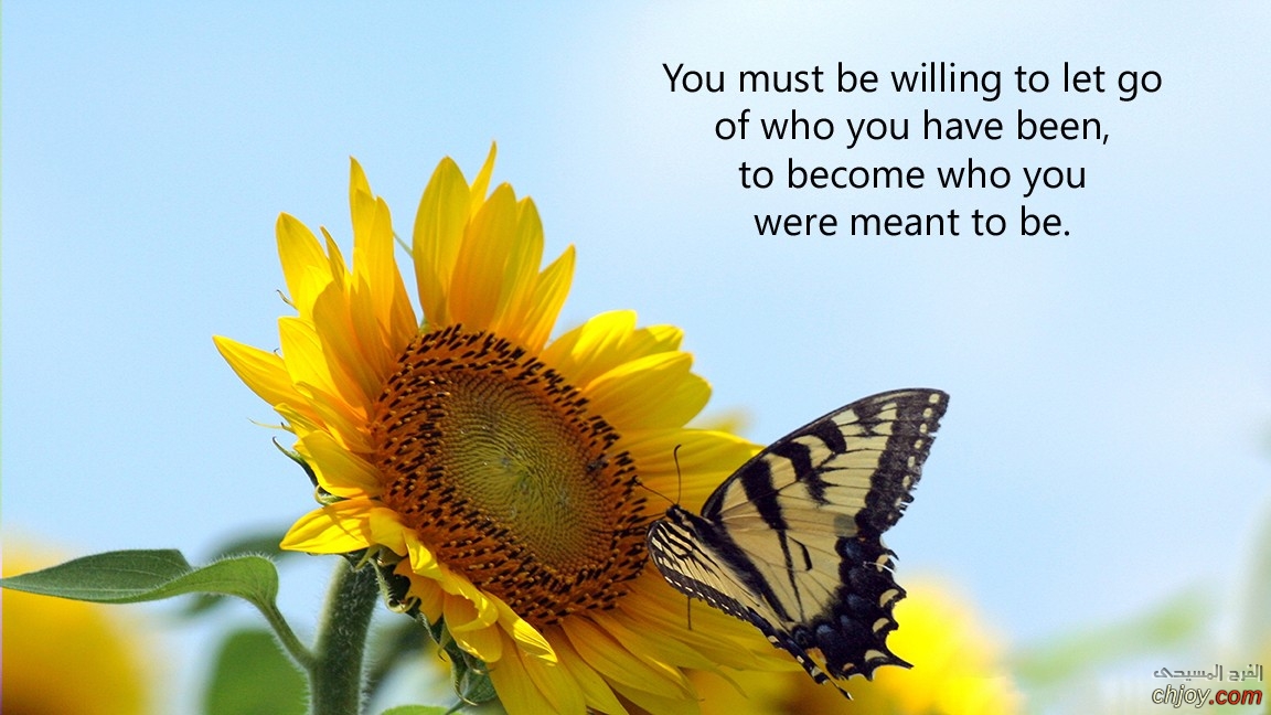 You must be willing to let go of who you have been 