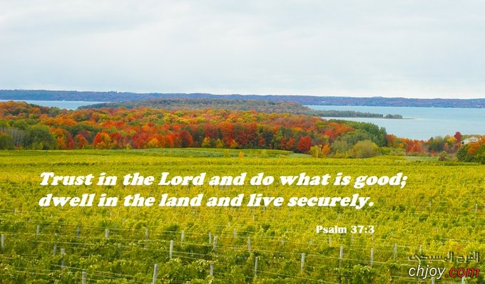 TRUST in the Lord and DO what is GOOD 