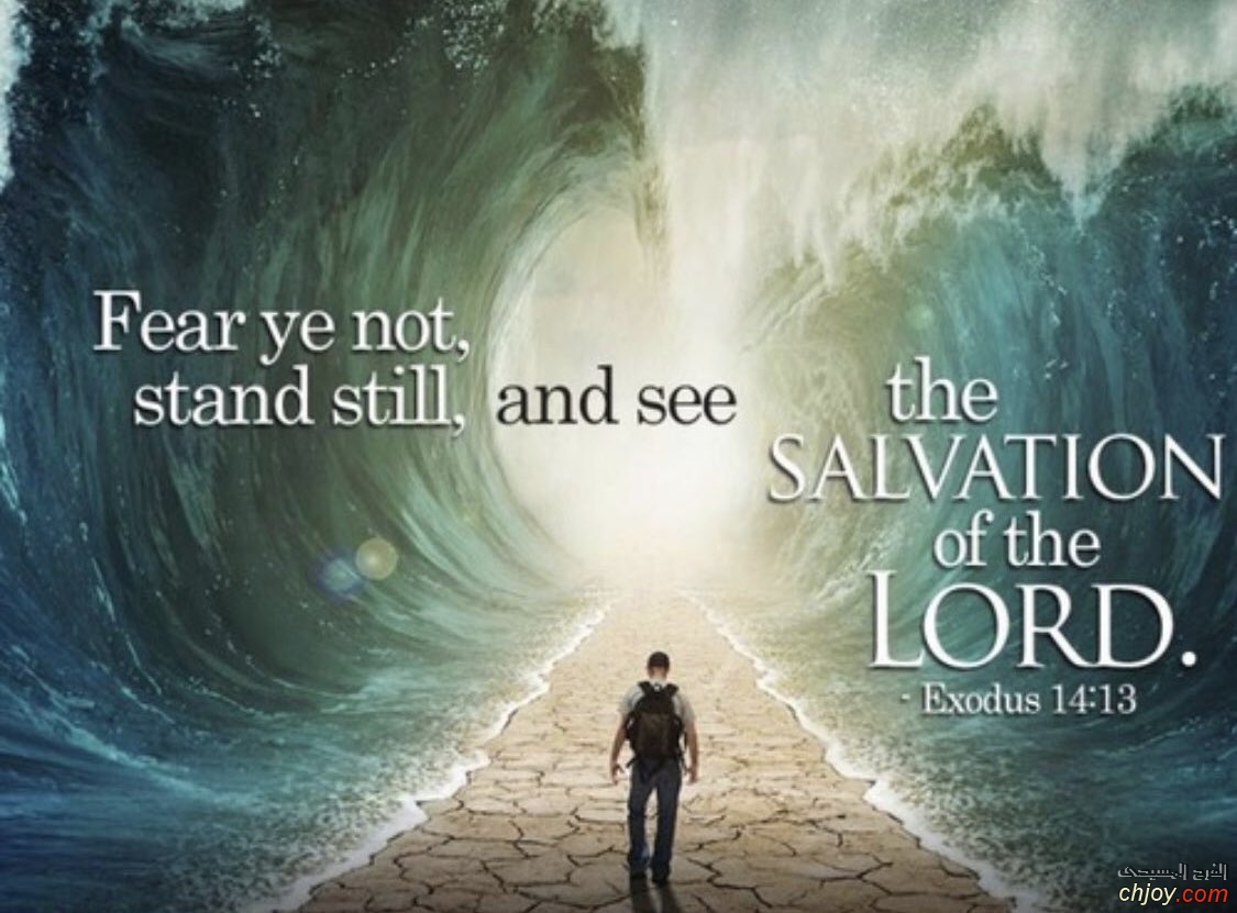 see the salvation of the LORD 