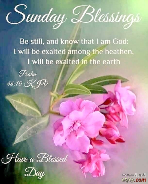 Sunday Blessings 